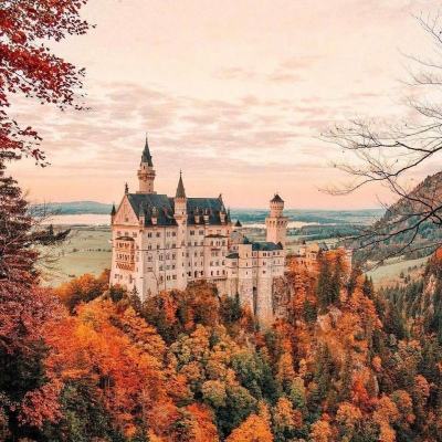 2026 CAIMRS|增量在哪？拐点何时...