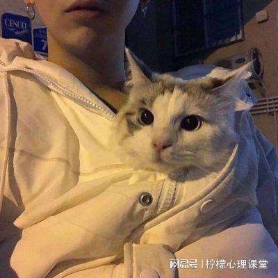 绘就生态画卷！德阳交出“十四五”生态环境保护亮眼答卷