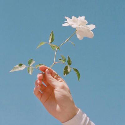 10亿元不是终点！年内四家消金公司增资