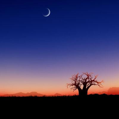 石油销售崩溃 伊拉克经济岌岌可危