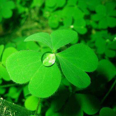 乐鱼体育买球相关推荐1