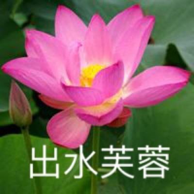 广发体育官方平台安卓版