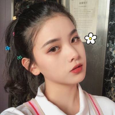 金刚官网APP下载